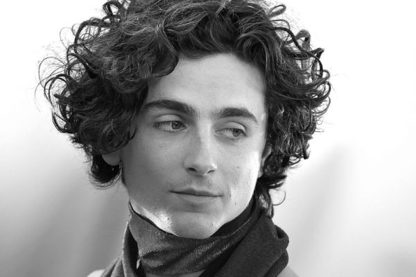 Timothee Chalamet to host 'SNL' on Nov. 11 Timothee Chalamet to host 'SNL' on Nov. 11