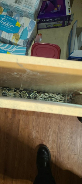 Illinois firefighters rescue 6-foot snake from kitchen cabinet Illinois firefighters rescue 6-foot snake from kitchen cabinet