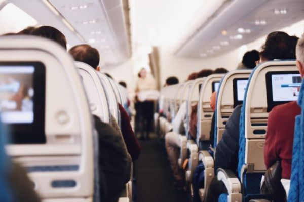 Plane grounded for three days after in-flight rat sighting Plane grounded for three days after in-flight rat sighting