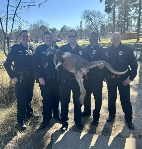 Police surprised to encounter kangaroo at Texas park Police surprised to encounter kangaroo at Texas park