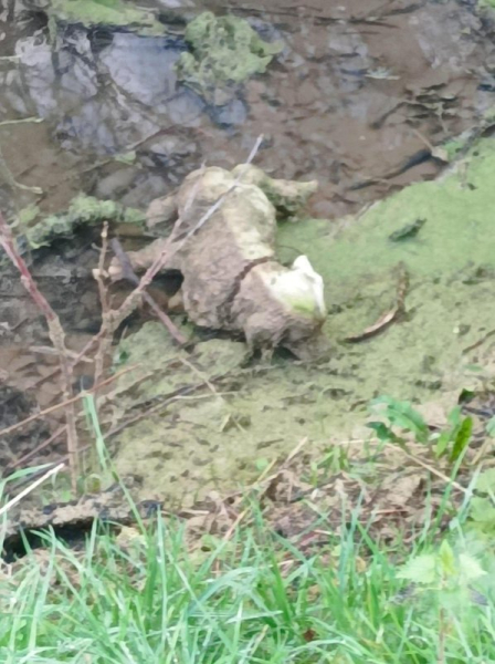 Animal rescuers discover dog in dangerous ditch actually was a statue Animal rescuers discover dog in dangerous ditch actually was a statue