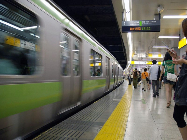 Snake on a train causes delays for 2,700 passengers Snake on a train causes delays for 2,700 passengers