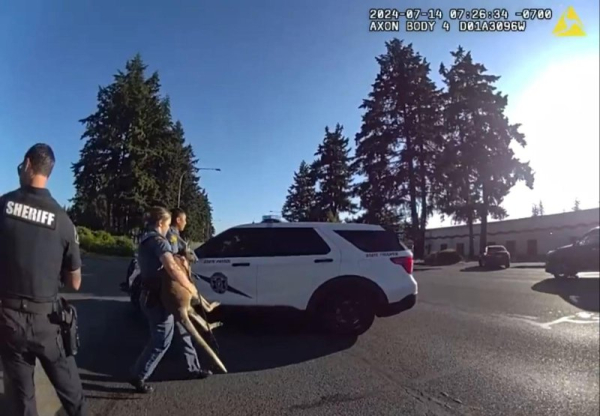Police 'tackle' wallaby on the loose in Washington Police 'tackle' wallaby on the loose in Washington