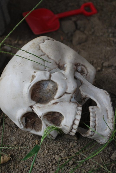 Apparent human skull found on California beach turns out to be a prop Apparent human skull found on California beach turns out to be a prop