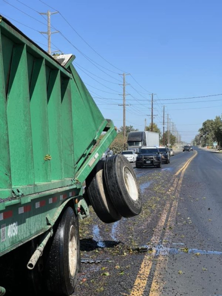 Grape spill causes traffic 'jam' on California highway Grape spill causes traffic 'jam' on California highway