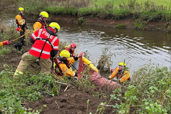 Firefighters rescue horse stuck in river Firefighters rescue horse stuck in river