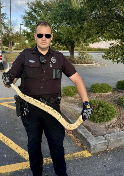Pet python missing for two months found at Chili's Pet python missing for two months found at Chili's
