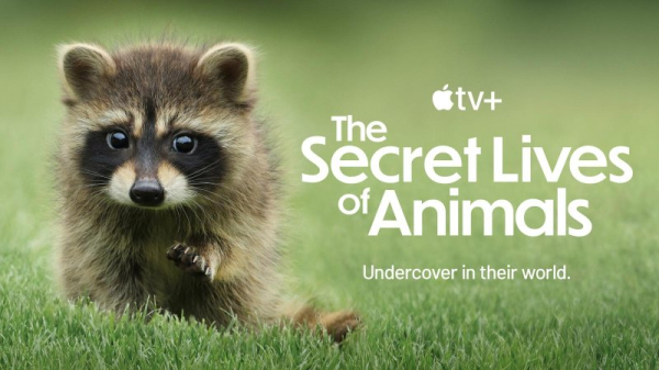 'Secret Lives of Animals': Apple TV+ shares trailer for docuseries 'Secret Lives of Animals': Apple TV+ shares trailer for docuseries