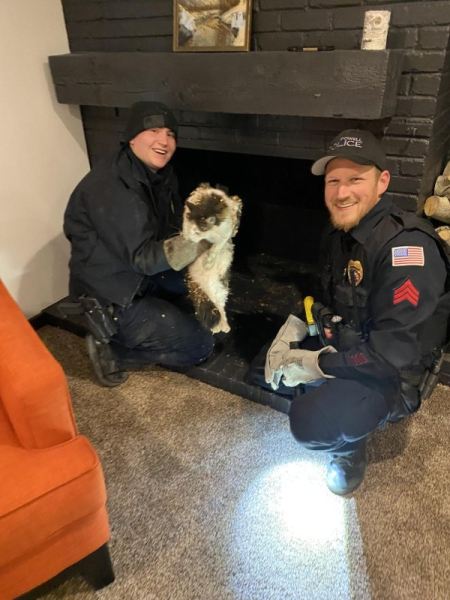 Trapped cat rescued from inside chimney in Wyoming Trapped cat rescued from inside chimney in Wyoming
