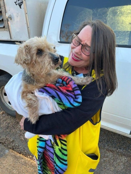 Blind, deaf dog found stuck in fence a half mile from home