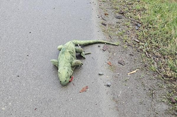 Police find reported iguana on highway shoulder was stuffed toy