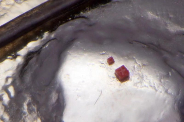 Micro-artist creates Lego sculpture the size of a blood cell