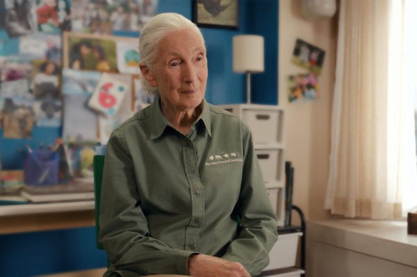 Jane Goodall to appear in Season 3 of Apple TV+ series 'Jane' Jane Goodall to appear in Season 3 of Apple TV+ series 'Jane'