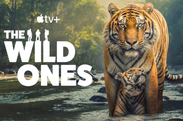 Apple TV+ drops trailer for documentary series 'The Wild Ones'