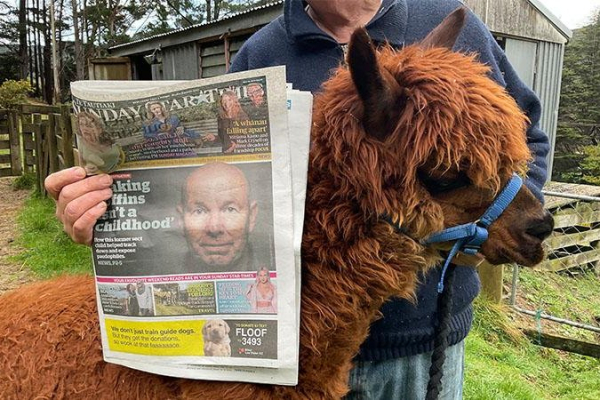 27-year-old alpaca officially named the oldest in the world