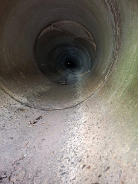 Firefighters dig a hole, cut through pipe to reach stranded calf