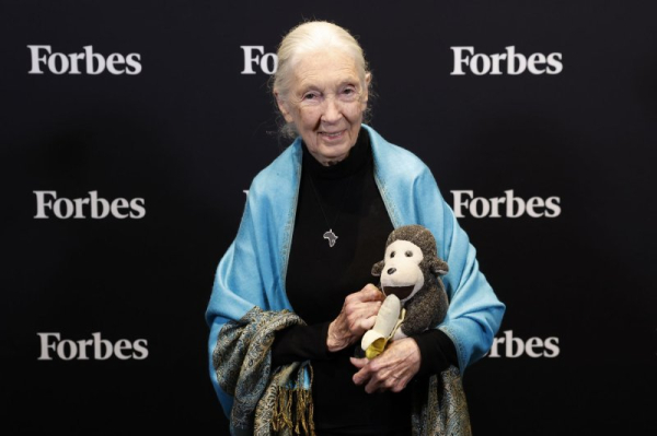 Netflix honors Jane Goodall with 'Famous Last Words'