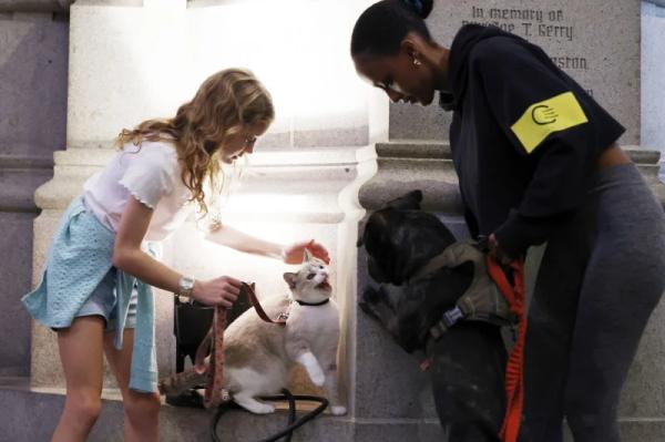 Entertainment, 1990s culture dominate 2025's top pet names