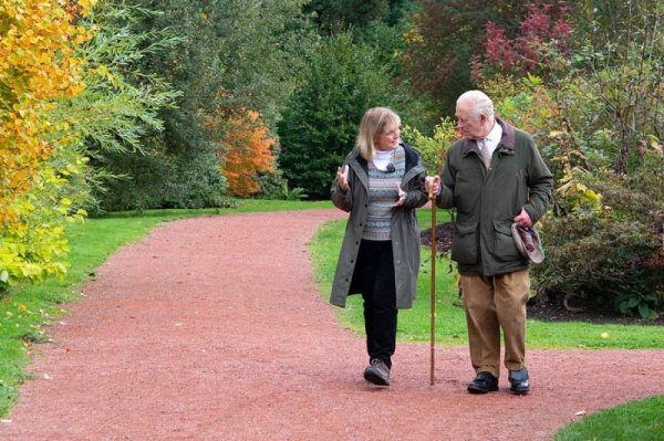 King Charles to appear Dec. 23 on 'This Natural Life'