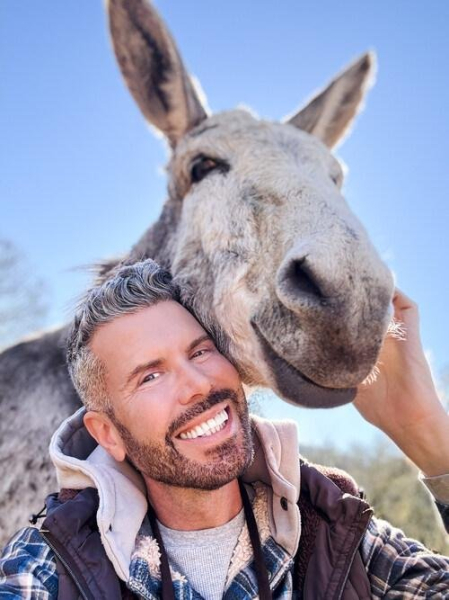'Donkey King' show highlights efforts to 'rehab and re-home' donkeys