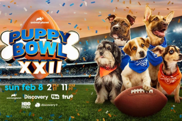 Puppy Bowl XXII to air on Feb. 8