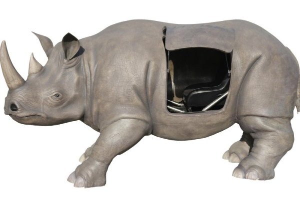 'Butt birth' rhino from 'Ace Ventura' sequel up for auction