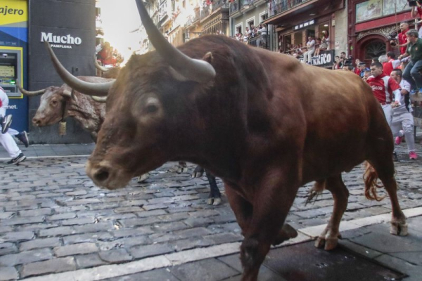 Sheriff's office warns of bull on the loose in Kansas