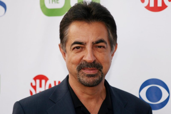 Joe Mantegna drops out of hosting National Memorial Day Concert Joe Mantegna drops out of hosting National Memorial Day Concert