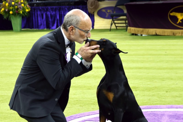 Netflix to air the Westminster Kennel Club Dog Show in 2027 Netflix to air the Westminster Kennel Club Dog Show in 2027